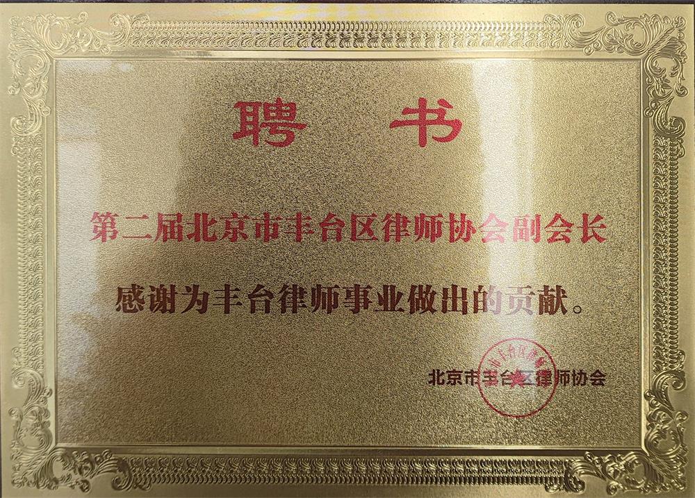 荣誉奖项